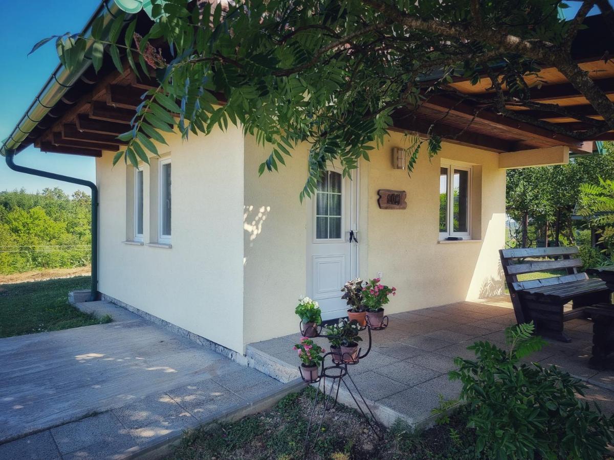Guesthouse Mreznica- Mreznicka Idila Resort Galovic-Selo Exterior photo